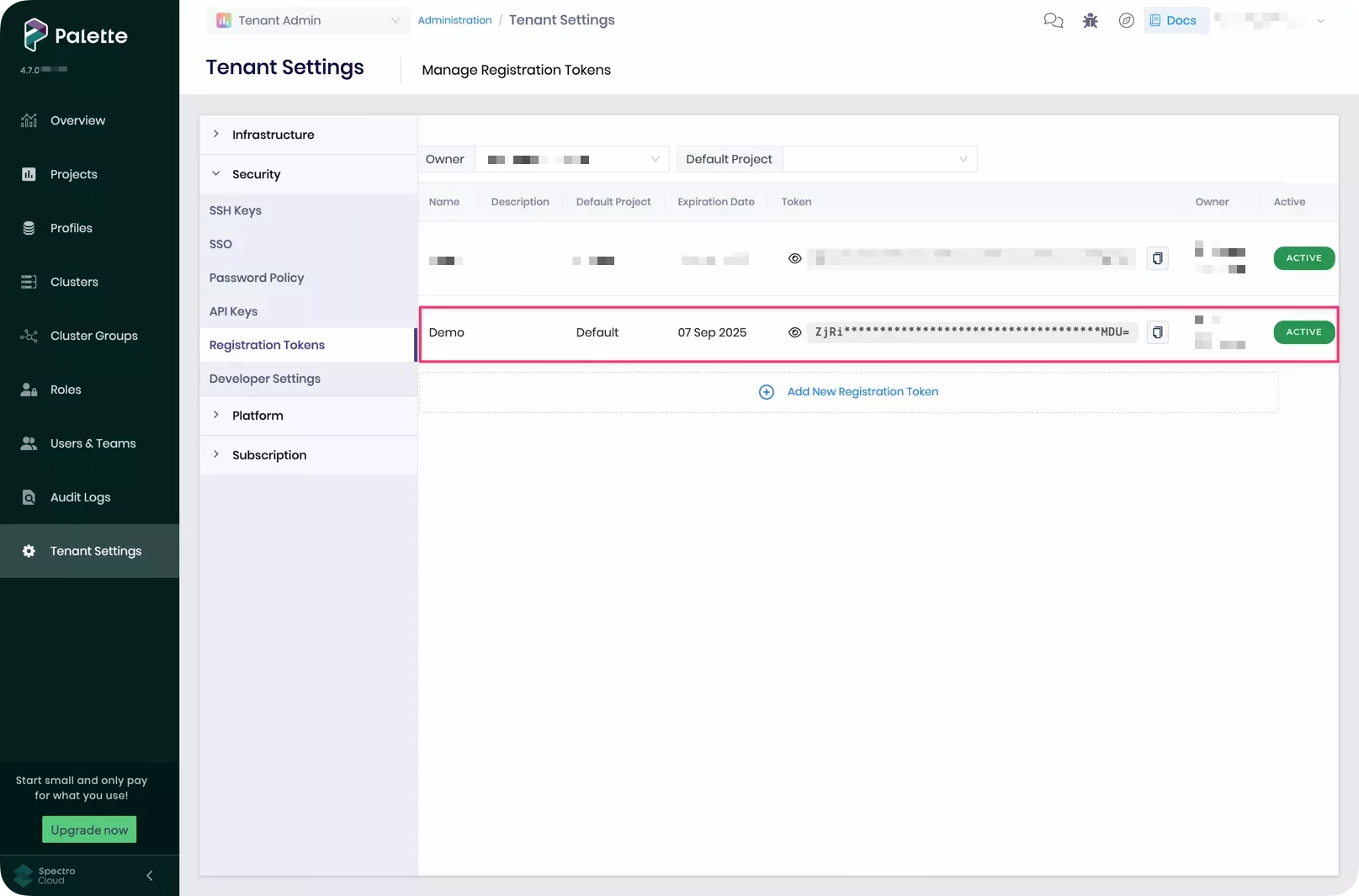 A screenshot of a registration token in Palette
